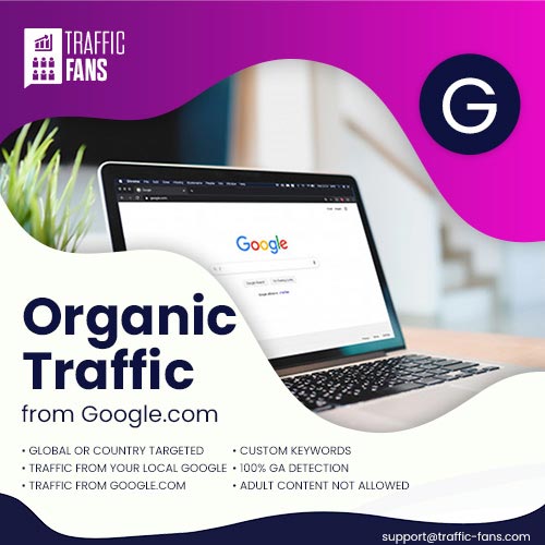Organic Traffic From Google.com