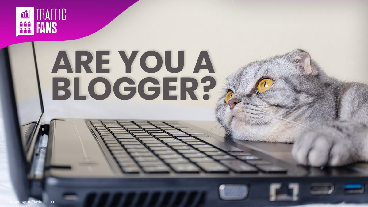 buy-traffic-for-bloggers-fb.jpg